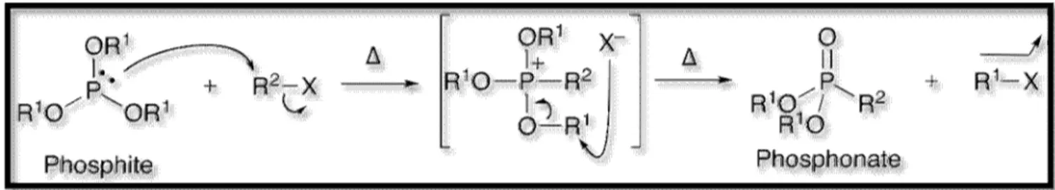 Figure  I  .6: Mécanisme de la réaction de Michaelis-Arbuzov  I.2 . 3 Le procédé  Kabachnick-Fields :