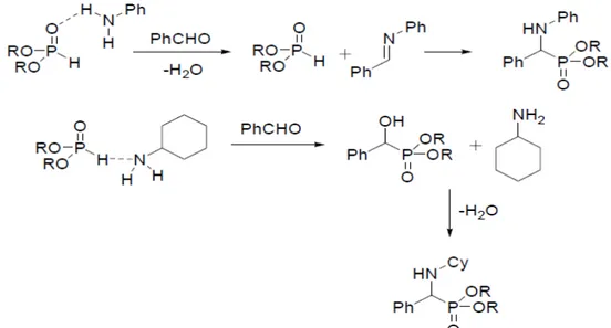 Figure  I.  9: Mécanisme proposé pour la réaction de Kabachnik-Fields 