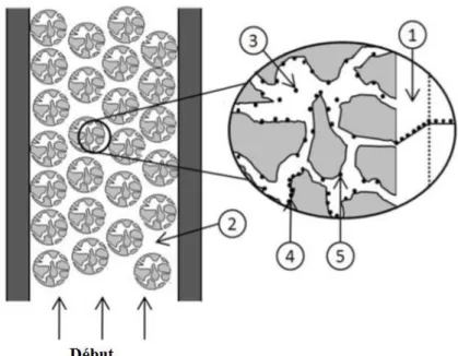 Figure 4.1. Schéma des différentes étapes qui interviennent dans le processus d’adsorption : 1