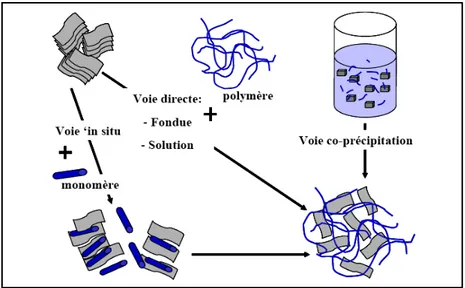 Figure I-7: Les différents modes de réalisation des nanocomposites [16]. 