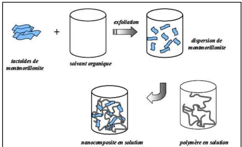 Figure I-9: Elaboration de nanocomposites par voie directe en solution [22]. 