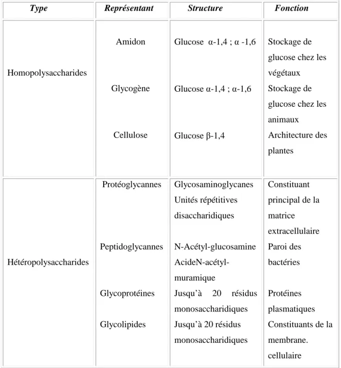 Tableau I-2 : Les différents types de polysaccharide [55]. 