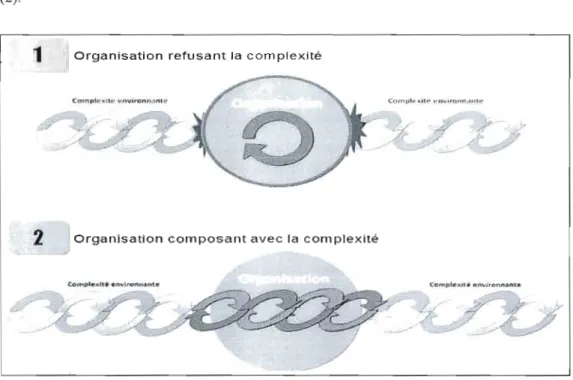 Figure  1.2 L'adaptation de  l'organisation  à  la  complexité. 
