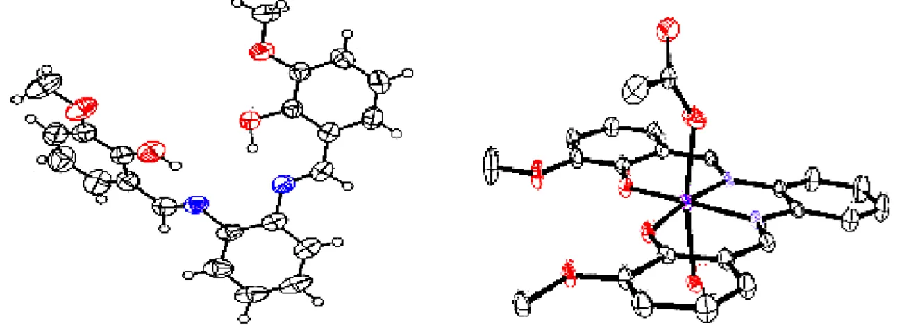 Figure I.7. Présentation ORTEP du ligand au pont benzène et son complexe de manganèse  correspondant