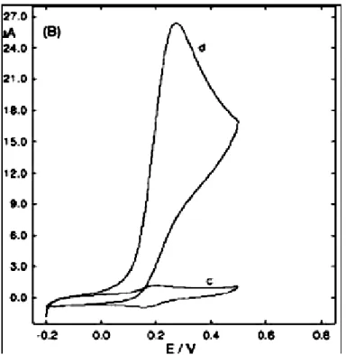 Figure I.13: Voltammogrammes cycliques d’une électrode de carbone vitreux modifiée par  film de 3,4-DH Salophen dans une solution phosphate (0,1M, pH=7,5), en absence (c) et en 