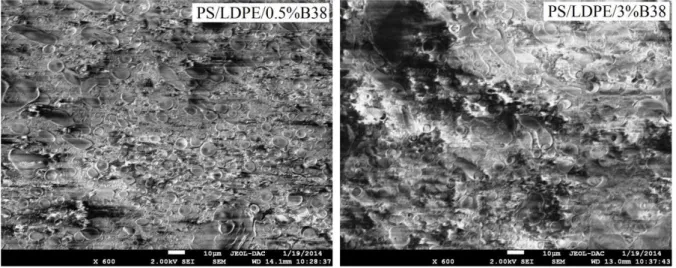 Figure III.12 : Micrographies MEB de surfaces fracturées des nanocomposites  PS/PEBD/0,5% B38 et PS/PEBD/3% B38