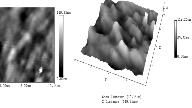 Figure III.14 : Images 2D et 3D obtenues par AFM en mode non-contact pour le mélange  PS/PEBD pur
