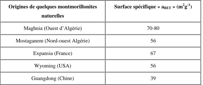 Tableau 4: Surface spécifique de certaines montmorillonites naturelles (Barama, 2011)  Origines de quelques montmorillonites 