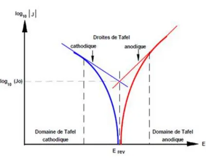 Figure II-6. Representation schematique d’une courbe densite de courant-potentiel  (coordonnées semi-logarithmique) et des droites de Tafel