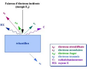 Figure II-8. Représentation schématique de l'impact d'un faisceau d'électrons sur la surface  d'un échantillon solide [9]