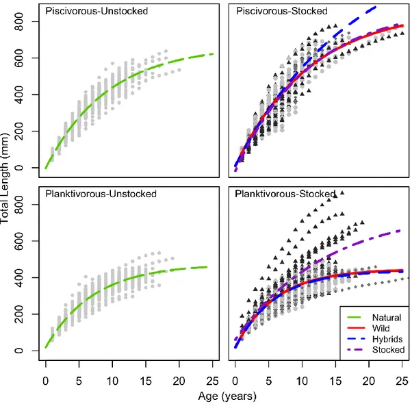 Figure 2.3. Individual growth curves by genetic origin within pooled unstocked and stocked  populations  of  both  ecotypes