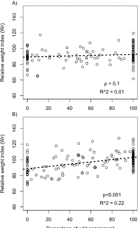 Figure  2.4.  Relative  weight  condition  index  (Wr)  as  a  function  of  percentage  of  local  assignment for (A) piscivorous and (B) planktivorous populations