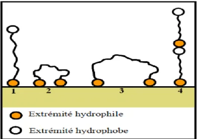 Figure I. 2 : Modes d’adsorption des inhibiteurs organiques sur une surface métallique : (1)  Adsorption simple ; (2) Chélation de surface ; (3) Pontage de surface ;(4) Adsorption en 