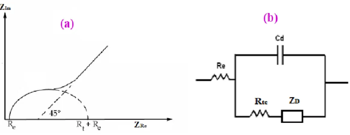 Figure II.9 : Représentation de Nyquist d’impédance électrochimique dans le cas d’un  transfert de charge de matière (a) et leur circuit équivalent (b)