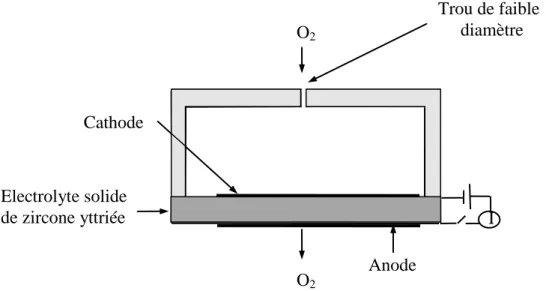 Fig. I.17: Schéma du capteur ampérométrique à oxygène dans lequel l’apport d’oxygène est  limité par un trou de faible diamètre