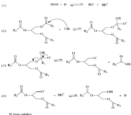 Figure  3.28 :  mécanisme  réactionnel  de  la  transestérification  d’une  huile  végétale  catalysée par une base.  