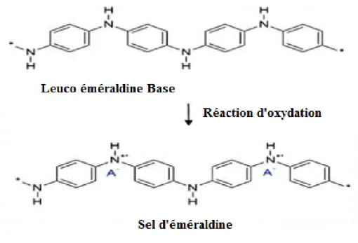 Figure I.3 : Formation du sel d’éméraldine lors de l’oxydation de la PANI sous sa forme  neutre.
