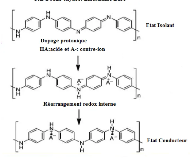 Figure I.4 : Formation du sel d’éméraldine lors du dopage protonique de l’éméraldine base.