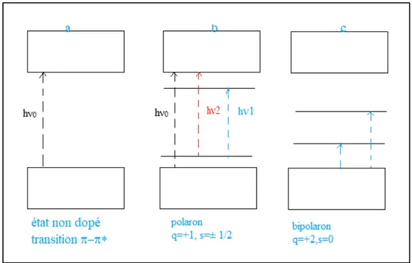 Figure II.2 :Transitions électroniques dans les polymères semi-conducteurs : a) État non  dopé, b) Polaron, c)Bipolaron