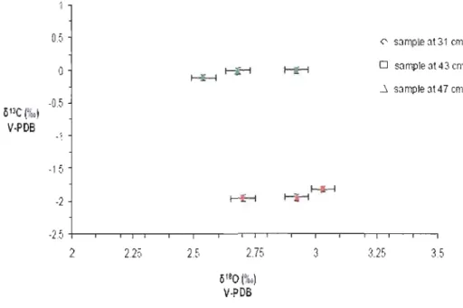 Figure  7:  0 13  C  and  0 18 0  of Bulimina  marginata  (green)  and  Bulimina  exilis  (red)  picked  in  samples  from  COR5ü3-37  PC  (at  31,  43  and  47  cm)