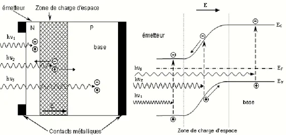 Figure I.5. Structure (image gauche) et diagramme de bande (image droite) d’une cellule  photovoltaïque