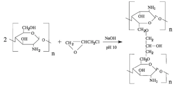 Figure 1. 6. Structure possible formée lors de la  réticulation du chitosane  en utilisant  l'épichlorhydrine[75, 76] 