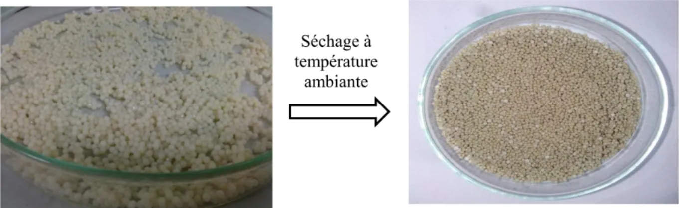 Figure 2. 3 Les billes  bentonite-alginate de calcium avant et après séchage