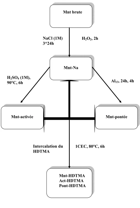 Figure II-1 : Schéma montrant le protocole de préparation des montmorillonites modifiées.