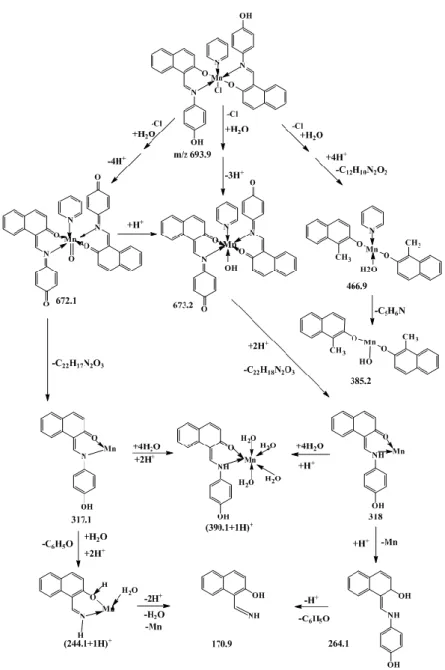 Figure 4. Main Fragmentations of Mn(III)L 2 ClPy manganese-complex 