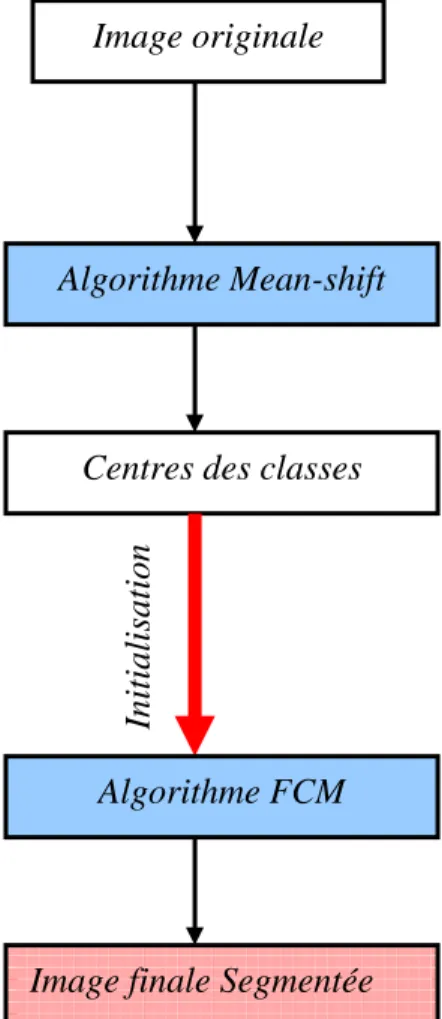 Figure 22: La coopération Mean-shift , approche flou. 