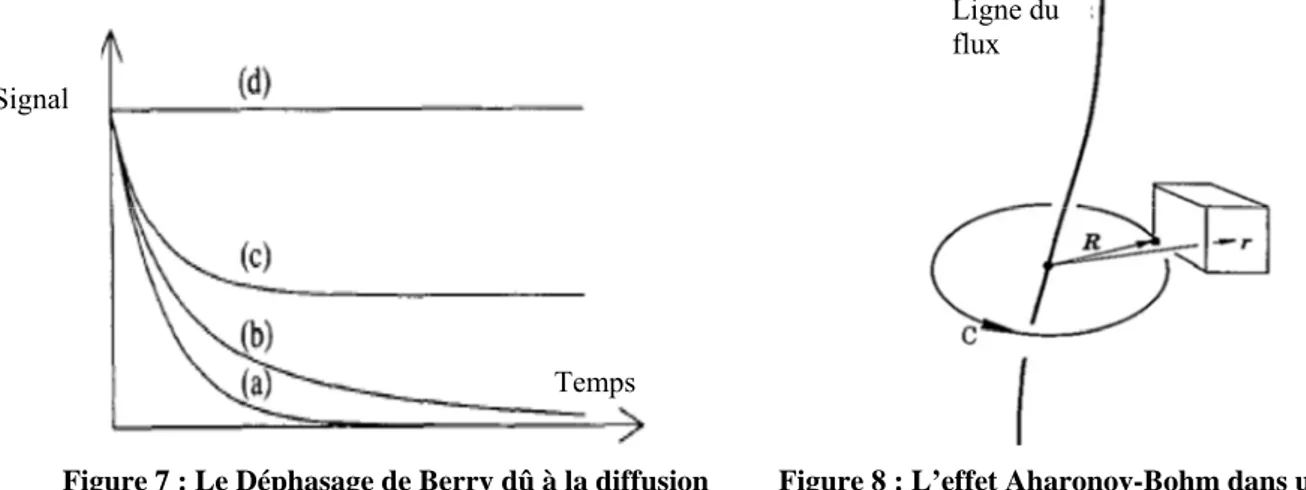 Figure 7 : Le Déphasage de Berry dû à la diffusion  des atomes de Xénon [44]. 