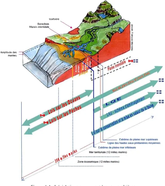 Figure  1 A  :  Législations concernant les zones côtières  Source:  Morneau  et al.,  2001 