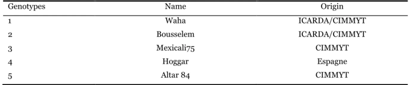 Table 1. Origin of the five genotypes used in the study. 
