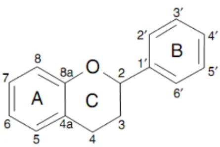 Fig. 4. Basic structure of flavan nucleus (Negrào and Faria, 2009). 