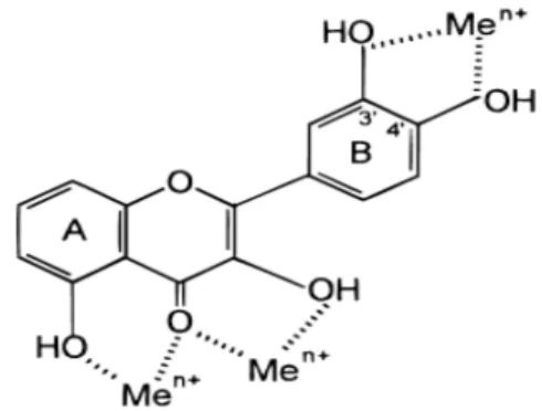 Fig. 5. Scavenging of ROS (R . ) by flavonoids (Pietta, 2000). 