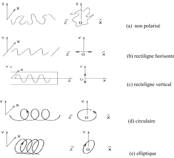 Figure 1.2 : Différents états de polarisation 