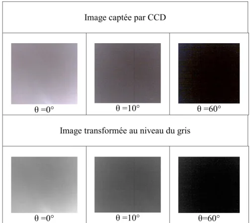 Tableau 3.1 : Images captées par CCD et transformées au niveau du gris. 