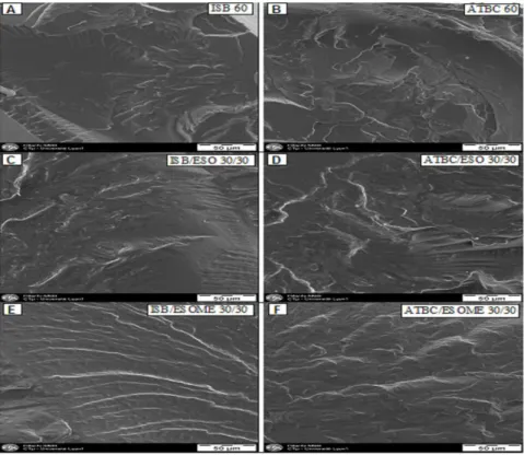 Figure 7. SEM micrographs of fracture surfaces of PVC films with different plasticizer compositions: (A) ISB 60 phr; (B) ATBC60 phr; 