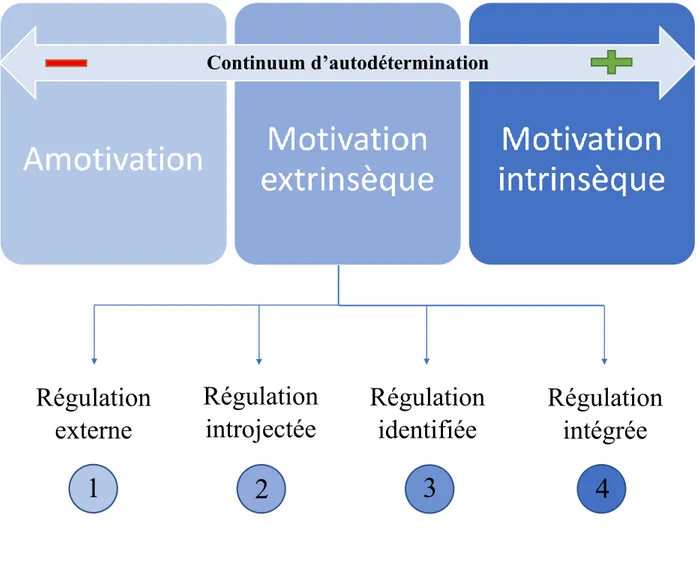 Figure 1 : Schématisation de l’autodétermination Ryan et Deci (2000)  Continuum d’autodétermination Régulation externe Régulation introjectée Régulationidentifiée Régulationintégrée1 2 3 4 