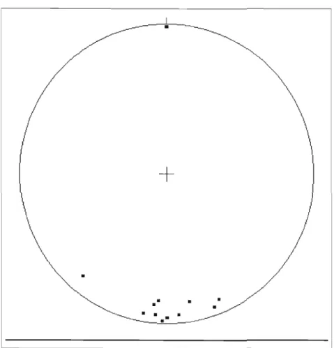 Fig.  1.5:  Interior projection poles ofschistosity recorded  in volcanic rocks (n=14) 
