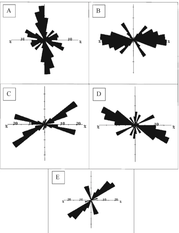 Fig.  1.7:  Rose  diagrams  of each type  of veins  found  at  Comtois with emphasis  on  length