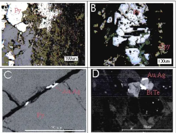 Fig.  1.10:  Microscope photographs of type  III  veins.  A+B)  Paragenesis of type III  veins  show that chalcopyrite  (cpy),  when  present,  is  located  on  the  borders  of the  pyrite  (py) and  quartz