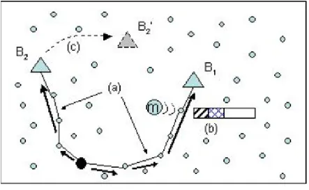 Figure 2.4   (a) routage multi-chemin (b) déguiser l’entête des champs adresse (c)  replacement du SINK 