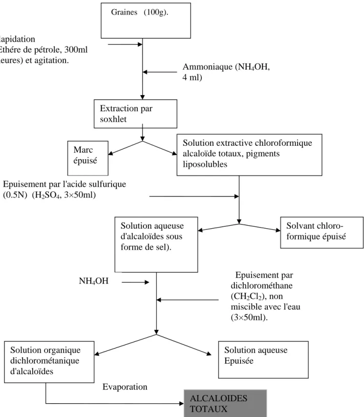 Fig. 11. Extraction des alcaloïdes totaux des graines de Datura stramonium L (Bruneton, 1999).