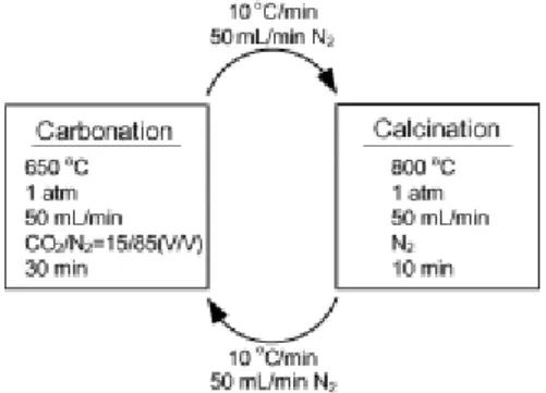 Figure I.7 schéma définit le cycle carbonisation/ calcination [78] 
