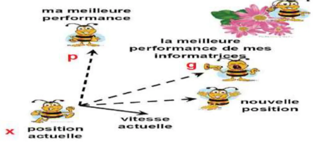 Figure III.12 Principe de déplacement d'une particule. 
