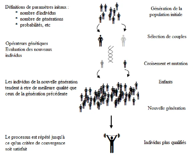 Figure III.14 Concepts de base d’un Algorithme Génétique. 