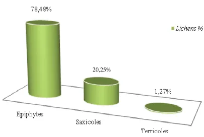 Figure 21: Différents types des lichens trouvés dans la région étudiée. 