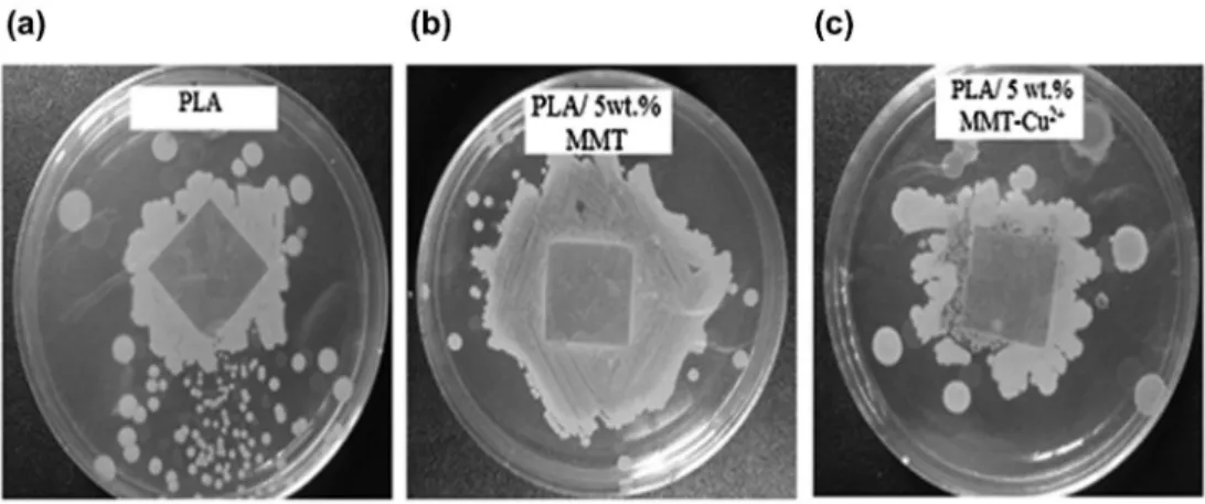 Figure 4. Variations of: (a) storage modulus and (b) tan δ vs. temperature for PP, Pla and PP/Pla blends  composites.