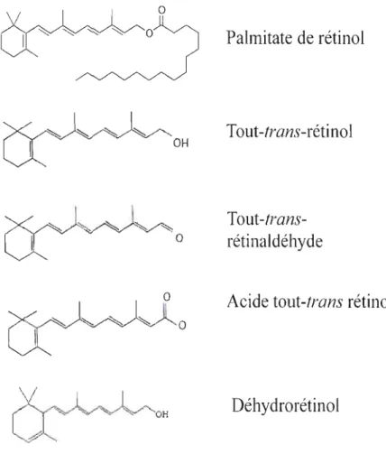 Figure  1.1  :  Structure moléculaire de différents rétinoïdes 